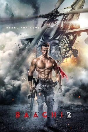 Baaghi 2 2018 Hindi Movie Hevc Pre-DVDRip [170MB] - Movierulz