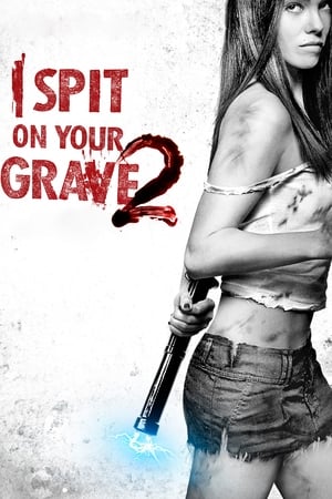 I Spit on Your Grave 2 (2013) Hindi Dual Audio HDRip 720p – 480p - Movierulz
