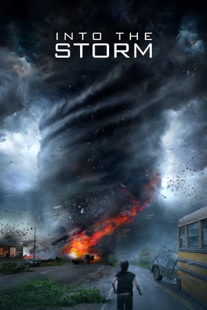Into the Storm (2014) Hindi Dual Audio 480p BluRay 300MB - Movierulz