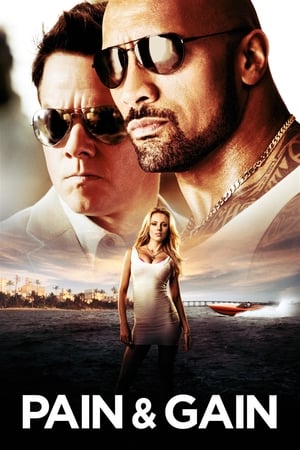 Pain & Gain 2013 400MB Dual Audio Hindi 480p Bluray Download - Movierulz