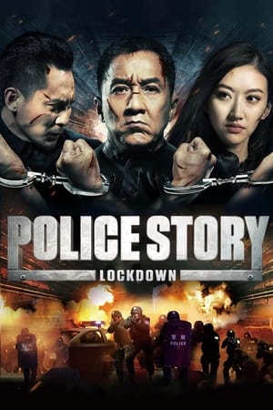 Police Story: Lockdown (2013) Hindi Dual Audio 480p BluRay 380MB - Movierulz