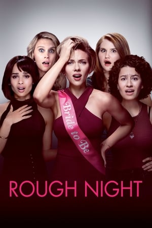 Rough Night (2017) Hindi Dual Audio 480p BluRay 400MB - Movierulz