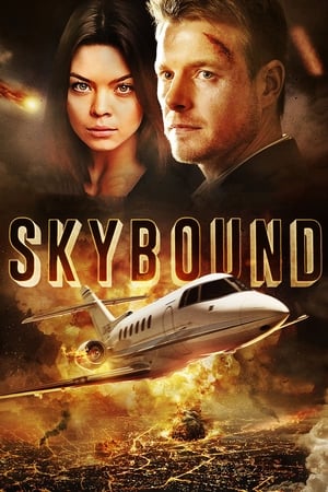 Skybound (2017) Hindi Dual Audio 720p BluRay [1.2GB] - Movierulz