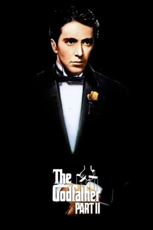 The Godfather Part II (1974) Dual Audio Hindi Full Movie 720p BluRay - 1GB - Movierulz