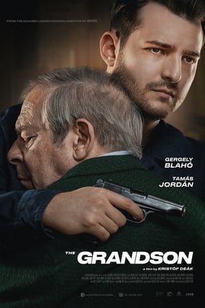 The Grandson 2022 Hindi Dual Audio HDRip 720p – 480p - Movierulz