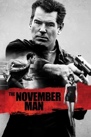The November Man 2014 100mb Hindi Dual Audio movie Hevc BRRip Download - Movierulz