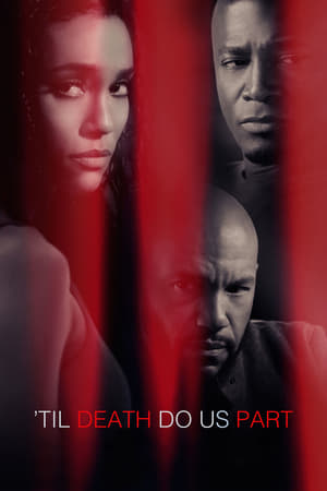 Til Death Do Us Part 2017 Hindi Dual Audio 480p Web-DL 300MB - Movierulz