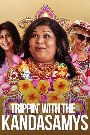 Trippin with the Kandasamys 2021 Hindi Dual Audio 720p Web-DL [850MB] - Movierulz